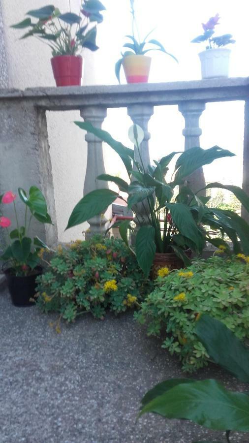 Apartment Bojana Новий Винодольський Екстер'єр фото